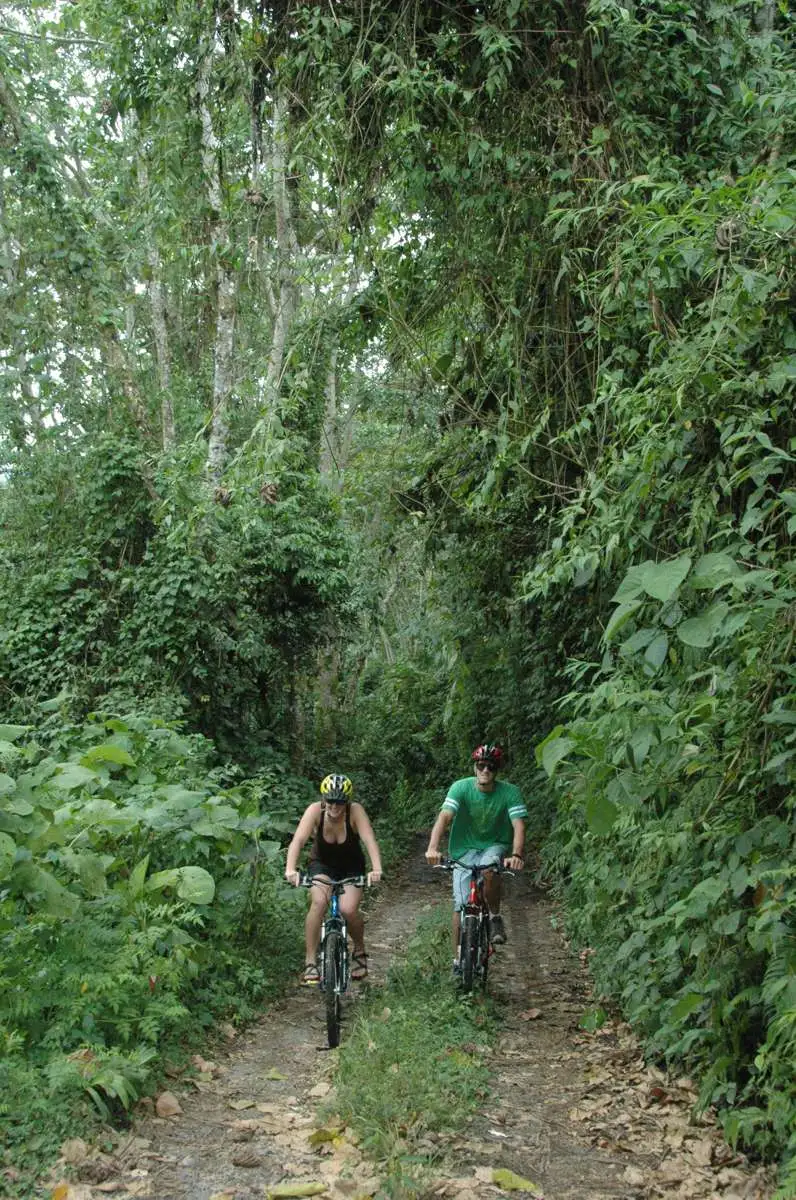 Biking in the mountains